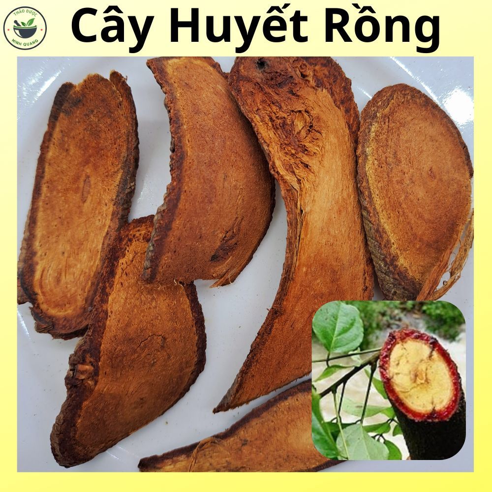 Cây Huyết Rồng (cỏ máu), loại đẹp sấy khô, túi 500g và 1kg