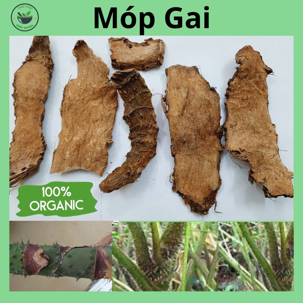 Móp Gai (mướp gai) - hàng mới, loại sạch sấy khô, túi 500g và 1kg
