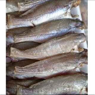 1kg Khô Cá Đù dai ngon