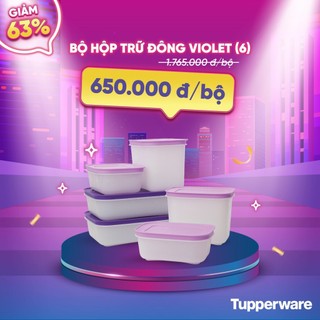 Bộ hộp trữ đông Tupperware Violet (6)