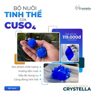 Bộ kit nuôi tinh thể cuso4