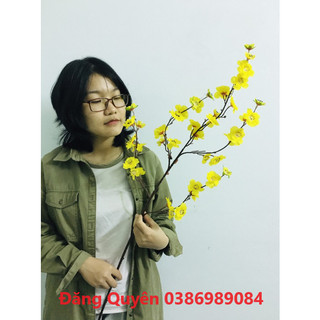 Sỉ 1 cành hoa đào cành. mai cành, đào phai cành trang trí ngày tết loại 1