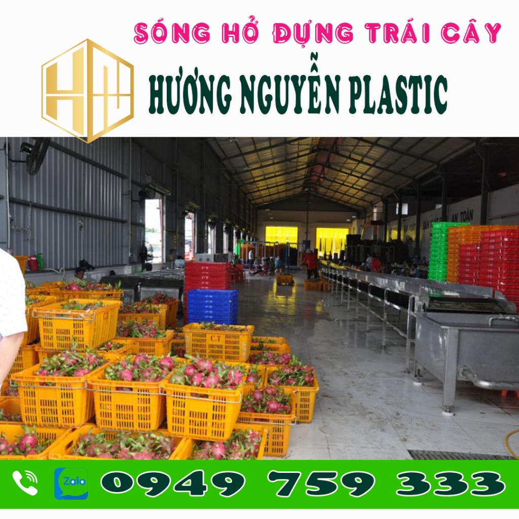 Sóng Thanh Long – Sọt Đựng Thanh Long kt 70x46x32cm