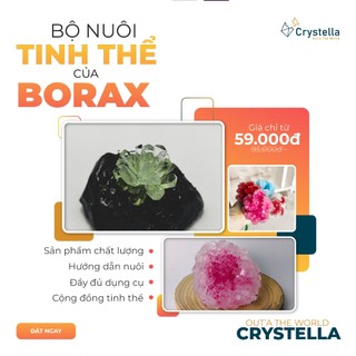 Bộ nuôi tinh thể BORAX kèm dụng cụ hướng dẫn