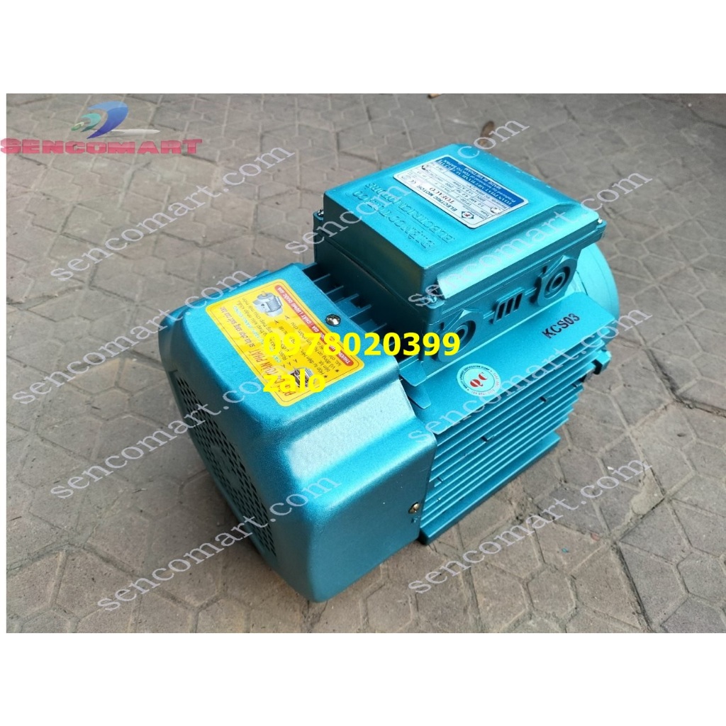 Mô tơ điện, động cơ điện 3kw , 2900 vòng/ phút