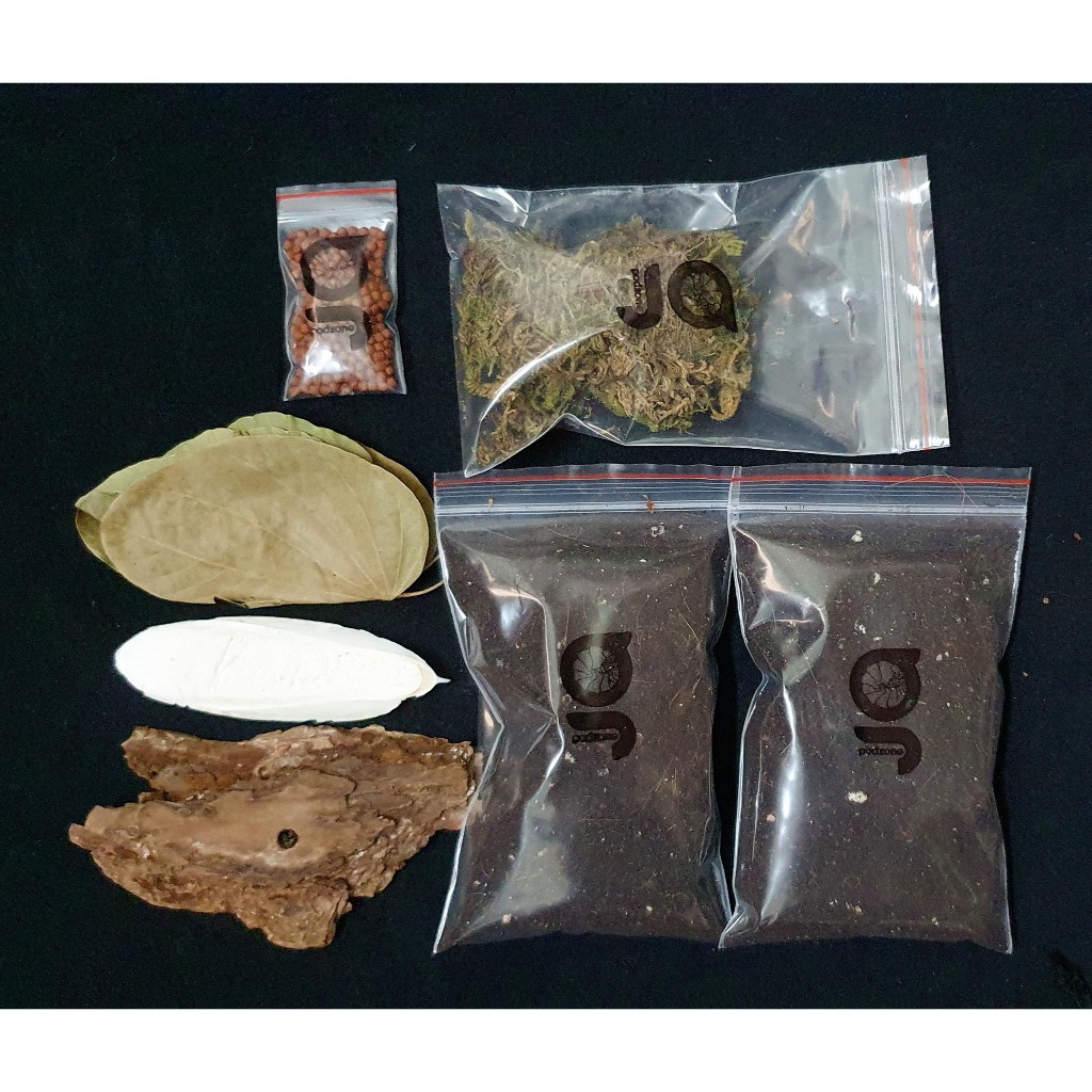Bộ nuôi isopod (không kèm hộp)