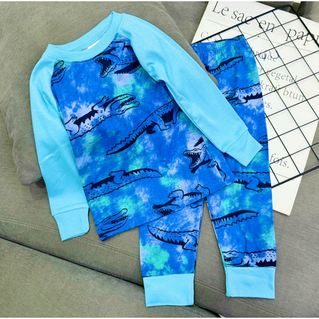 Bộ tay dài quần dài Thun borip bé trai siêu yêu size nhí 10-22kg