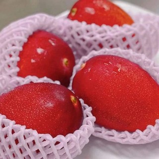 Xoài đỏ Nhật bản  ( giống mới)