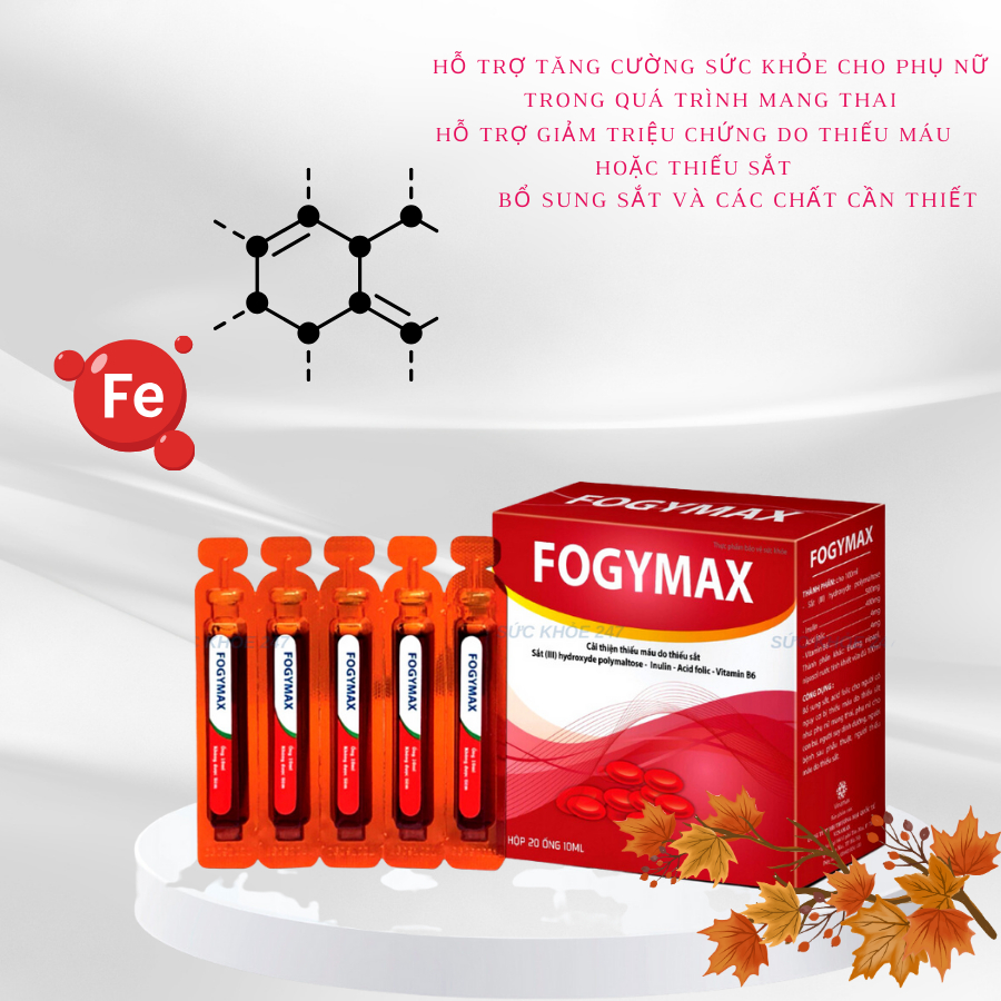 FOGY MAX GOLD bổ sung sắt  III cho bà bầu,thực phẩm chức năng cho mẹ bầu-H2PHARMA