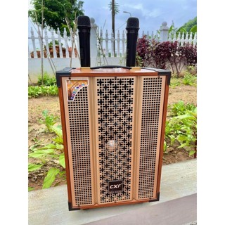 Loa karaoke di động, karaoke bluetooth hay, giá rẻ công suất lớn