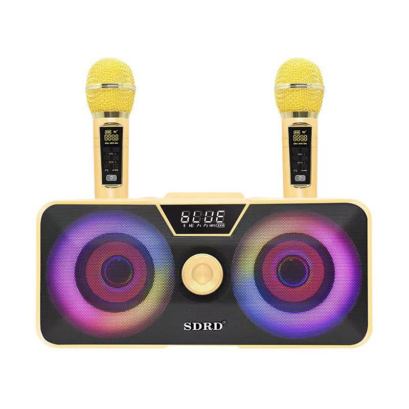LOA KARAOKE BLUETOOTH SD-317 KÈM 2MICRO SẠC BIN.