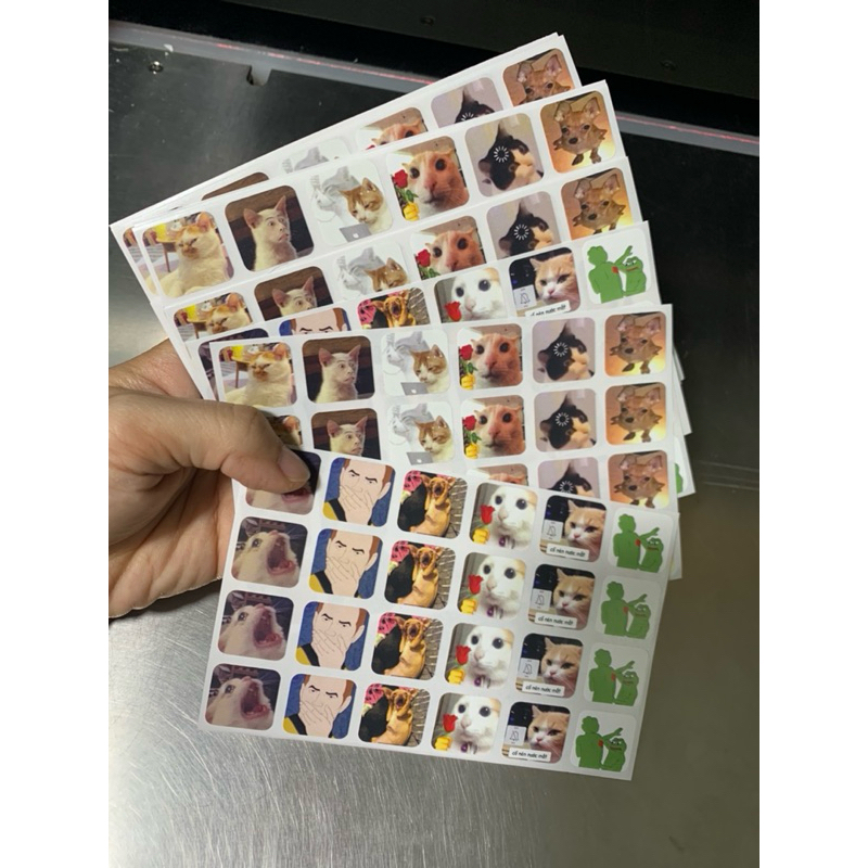 Cô giáo GenZ chấm điểm phong cách mới :)))