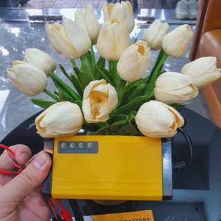 Bộ sạc bình acquy 12v 2A thông minh, tích hợp đa năng