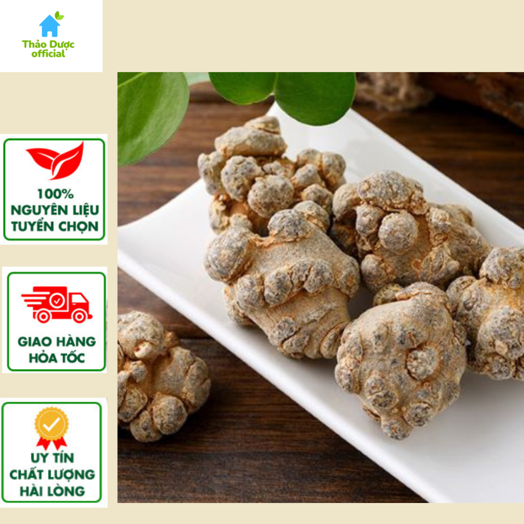 Củ tam thất bắc , tam thất rừng 1kg