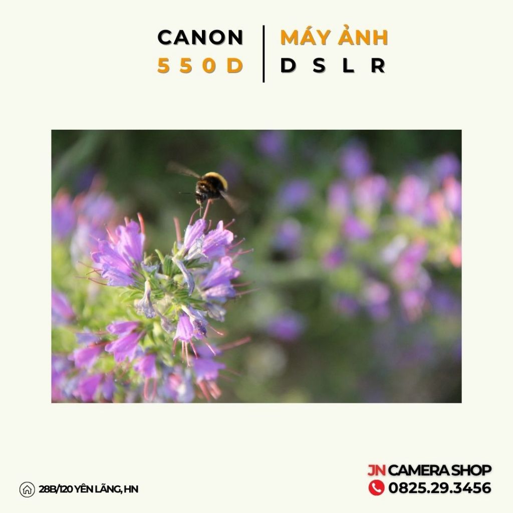 Bộ máy ảnh Canon 550D Kit 18-55mm Tặng Loa Che Nắng ,fillter bảo bệ ống kính