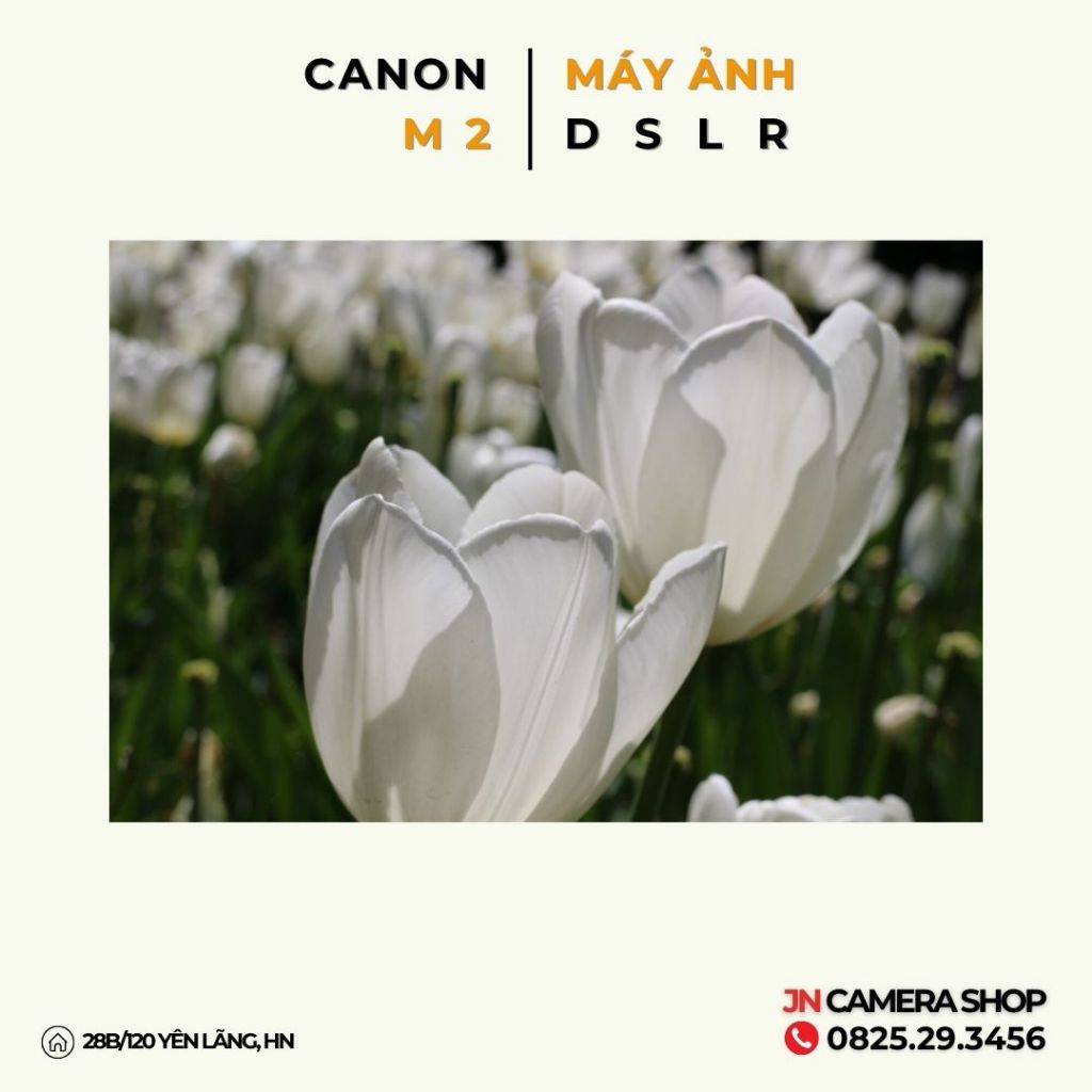 Canon EOS M2 + Lens EF-M 18-55mm