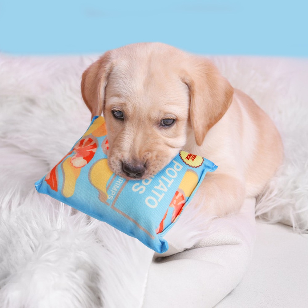 Đồ Gặm Đồ Chơi cho Chó nhiều mẫu - CHỌN MẪU