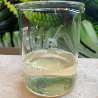 XÀ PHÒNG THỰC VẬT HỮU CƠ DẠNG LỎNG (98% ORGANIC CASTILE SOAP)
