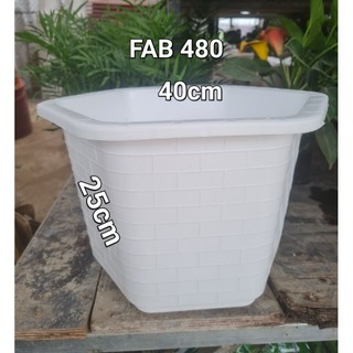  Combo 5  Combo 3  Chậu nhựa lục giác  FAB màu trắng đủ kích thước 