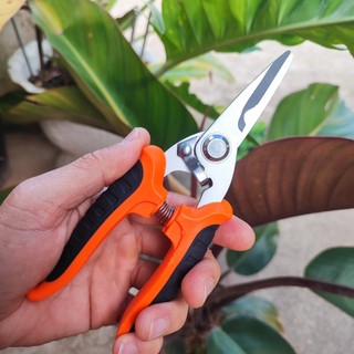 Kéo tỉa cành m45 – lò xo kéo tỉa cành m45 – kéo tỉa cây cảnh