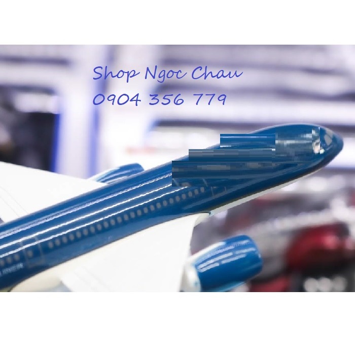 Mô hình máy bay tĩnh VN 16cm B787