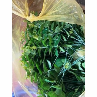 1kg lá táo rời trang trí hoa sáp. hoa lụa