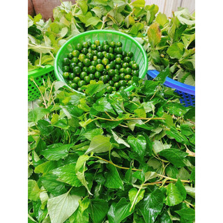 siro húng chanh thiên nhiên mẹ Cam