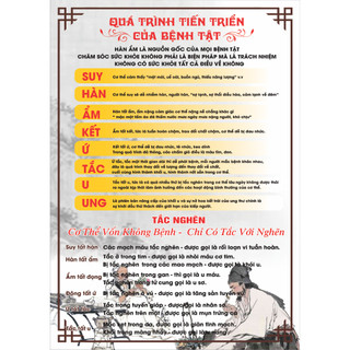 Tranh đông y 40x60 ( tổng 3 tranh )