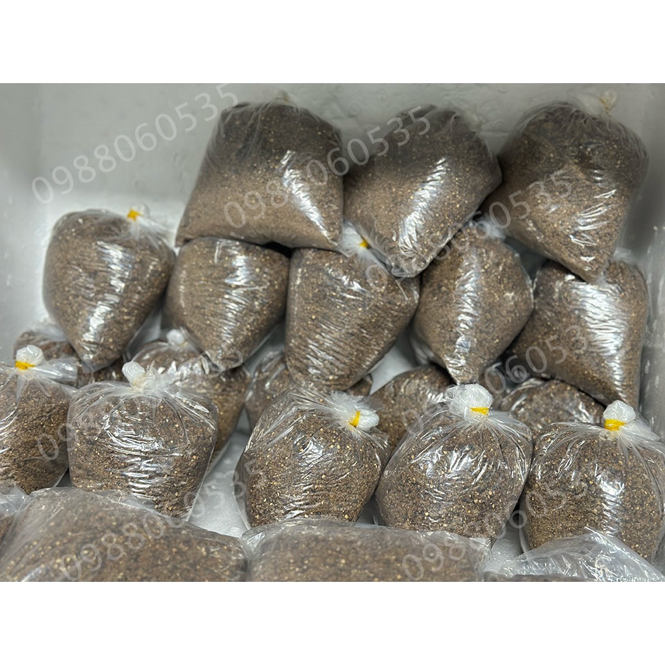 Muối tiêu chấm gà ủ muối - Muối chấm thần thánh siêu ngon.