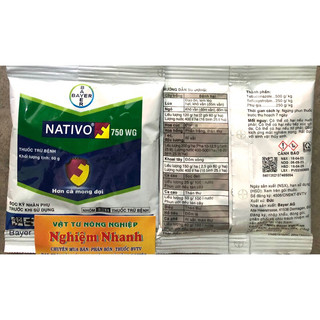 Nativo