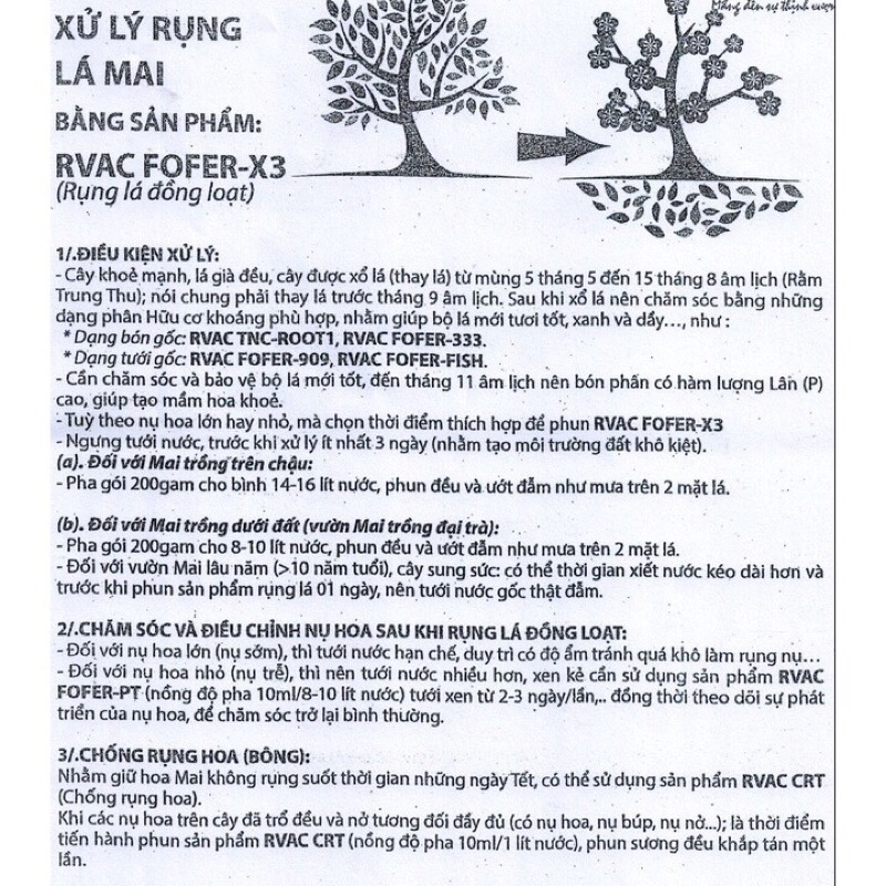 Thuốc rụng lá Hoa Đào, mai RVAC FOFER - X3  - Ra hoa đồng loạt