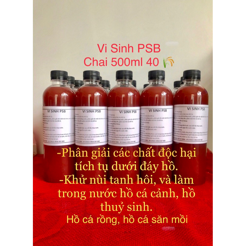 Vi Sinh PSB