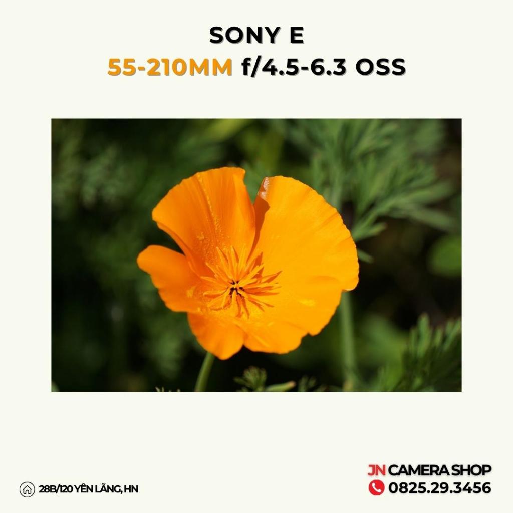 Ống kính SONY E 55-210MM F/4.5-6.3 OSS mới 90%