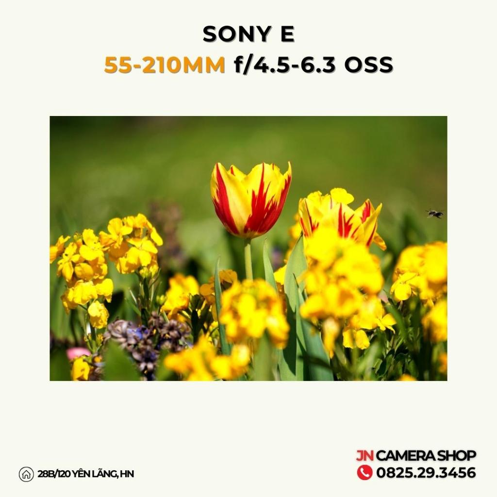 Ống kính SONY E 55-210MM F/4.5-6.3 OSS mới 90%