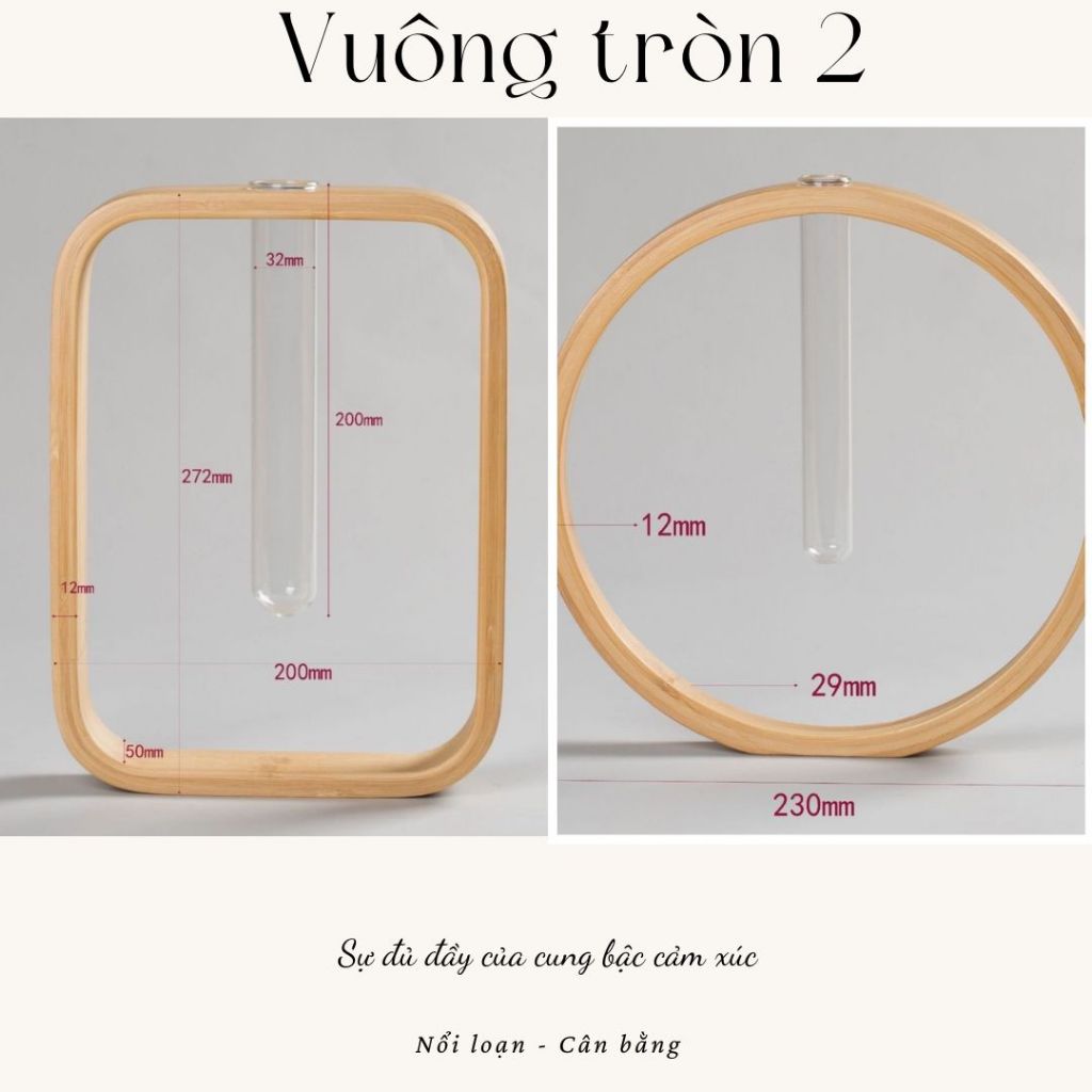 COMBO LỌ HOA THỦY TINH KHUNG GỖ - VUÔNG TRÒN