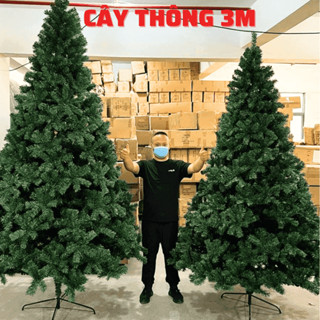  Cây thông noel 3 mét chân sắt 2500 đầu cành 2 mét 4 tán dày + Phụ kiện cây thông Giáng Sinh 