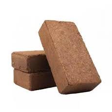 Viên nén mụn dừa