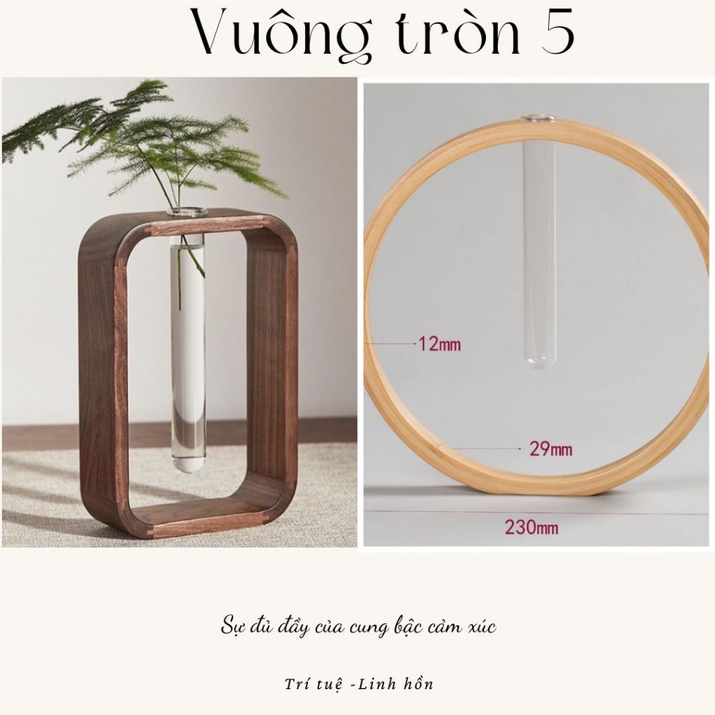COMBO LỌ HOA THỦY TINH KHUNG GỖ - VUÔNG TRÒN