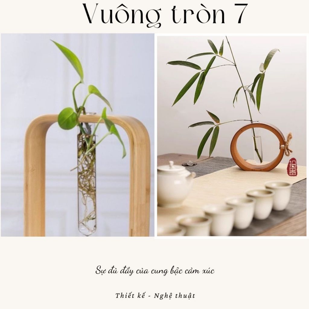 COMBO LỌ HOA THỦY TINH KHUNG GỖ - VUÔNG TRÒN