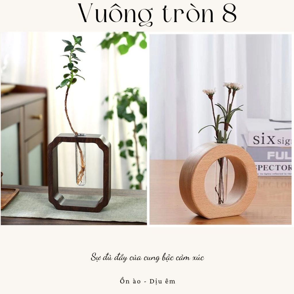 COMBO LỌ HOA THỦY TINH KHUNG GỖ - VUÔNG TRÒN