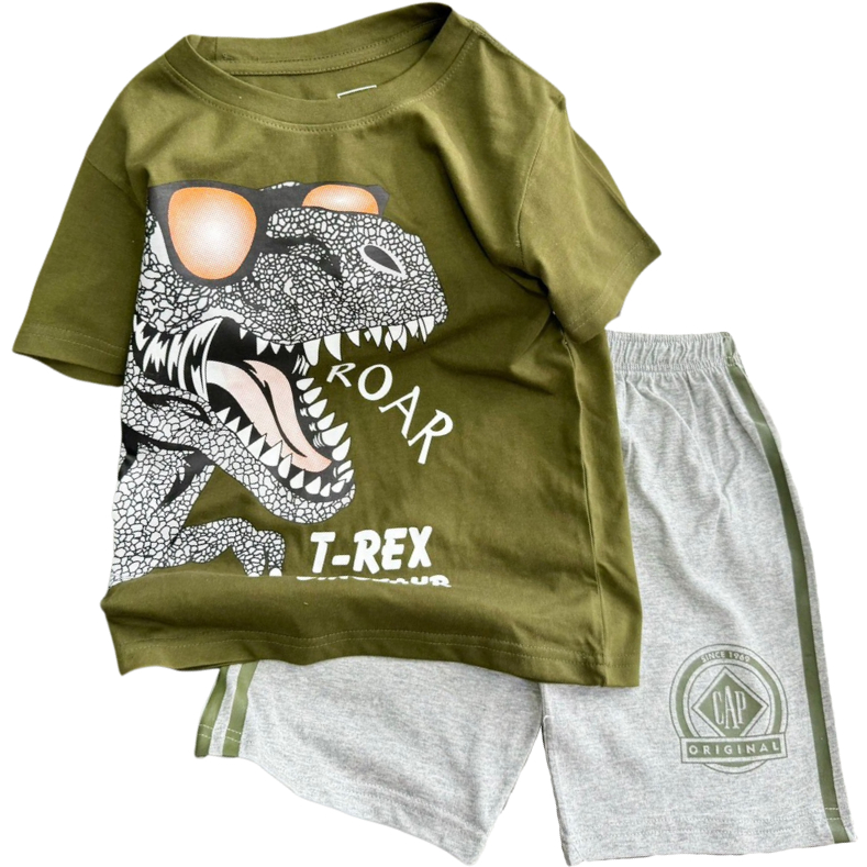 Đồ bộ cotton bé trai size đại 11-40 kg set bộ quần áo ngắn tay cho bé trai mặc mát in hoạt hình game động vật Homie Kids