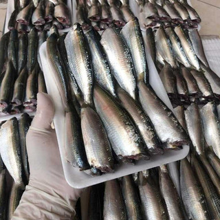cá trích bỏ đầu tươi ngon(cấp đông)💥ngon ngậy💥khay 500gr💥DTFoods(CHUYÊN SỈ)