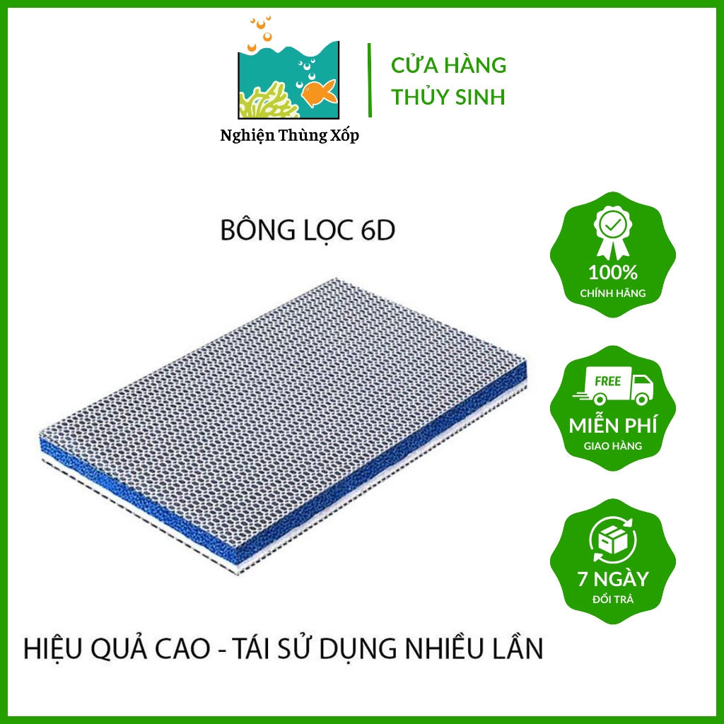 Bông lọc 6D - Bông lọc 6Lớp