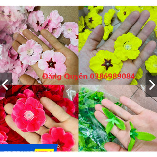 1kg hoa đào, hoa mai trang trí Tết cổ truyền