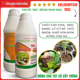 Validamycin 10sl xạ khuẩn trừ nấm bệnh chết cây con, lỡ cổ rễ, khô vằn, nấm hồng -chai 900ml