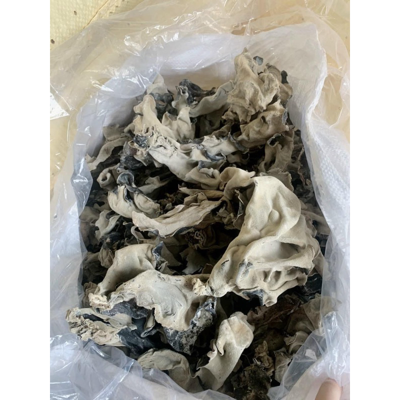 100gr mọc nhỉ ( nấm mèo)
