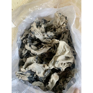 100gr mọc nhỉ