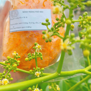 [1 KG] Bánh Tráng Long An Hana Chip - Vị Phô Mai Siêu Ngon