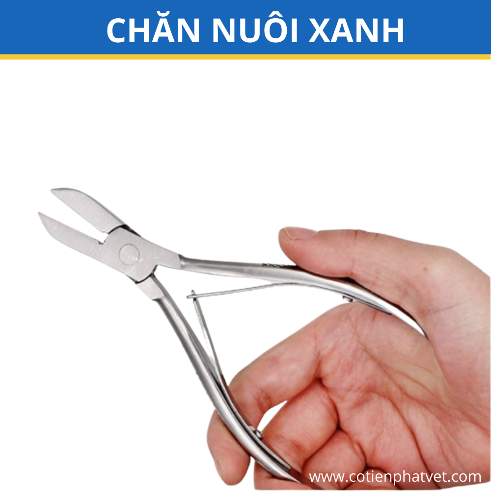 Kìm bấm nanh heo, bấm răng lợn con sơ sinh INOX cao cấp