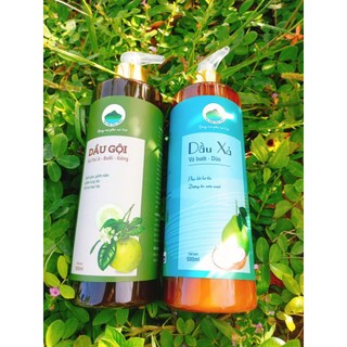 Dầu gội hà thủ ô Bưởi Gừng